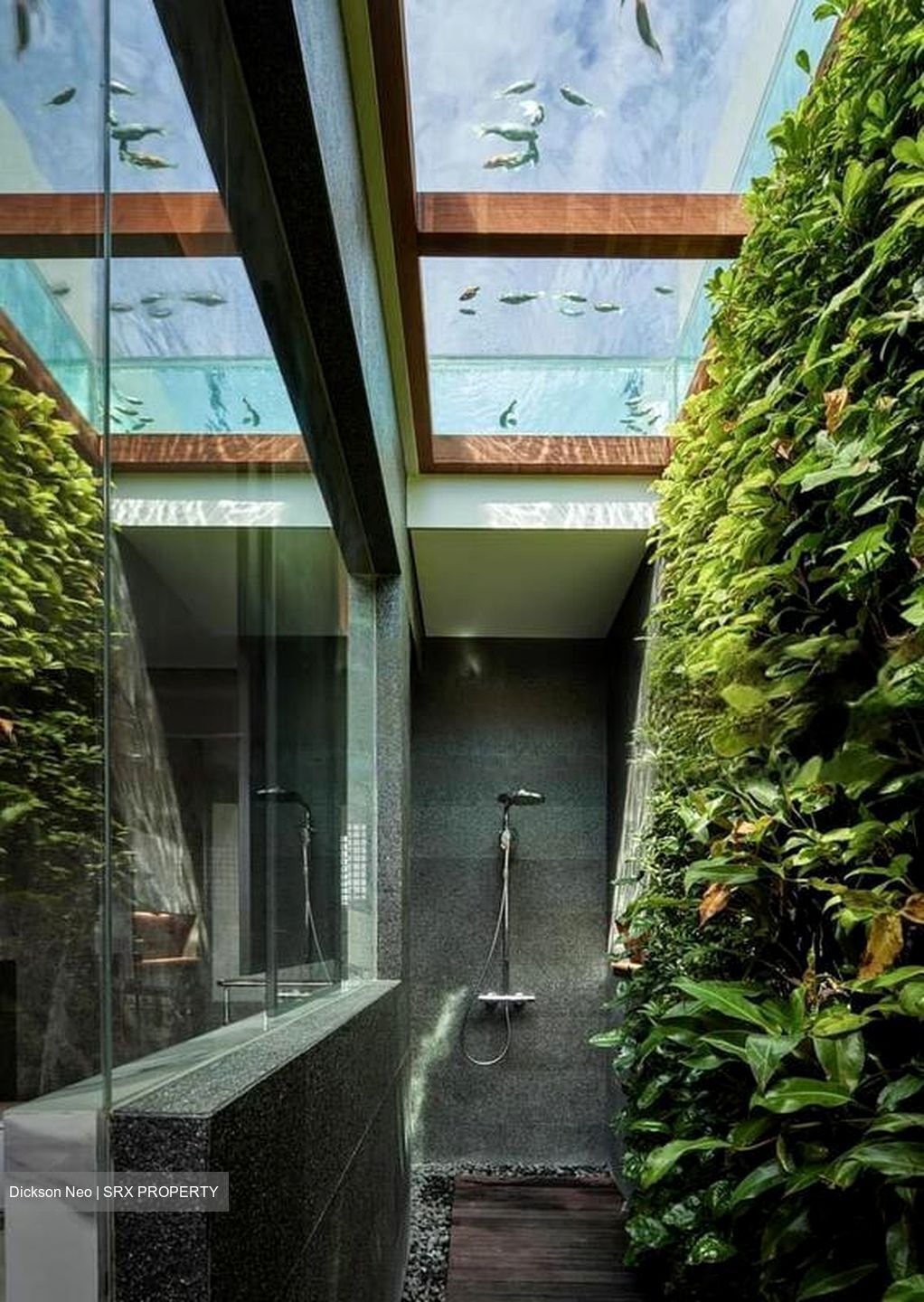 College Green (D11), Detached #461228631